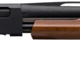 Winchester Repeating Arms 512367303 SXP Field Youth 12 Gauge 22" 4+1 3" Matte Black Rec/Barrel Satin Walnut Stock Right Hand Includes 3 Invector-Plus Chokes