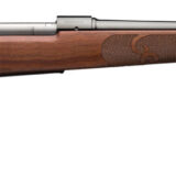 Winchester Guns 535200289 Model 70 Featherweight 6.5 Creedmoor 5+1 22" Satin Walnut with Feather Checkering Stock Brushed Polish Blued Right Hand (Full Size)