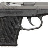 Kel-Tec P32BBLK P-32 32 ACP Caliber with 2.68" Barrel, 7+1 Capacity, Blued Finish Aluminum Frame, Serrated Blued Steel Slide & Black Polymer Grip