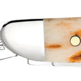 Case 00045 Peanut 2.10"/1.53" Folding Clip Point/Pen Plain Mirror Polished Tru-Sharp SS Blade, Peach Seed Jigged Amber Jigged Bone Handle