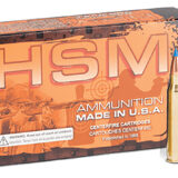 HSM 204R3N 204Ruger 32gr BlitzKing 20 Per Box/20 Case