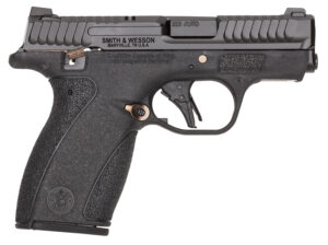 S&W BODYGRD 2.0 14660 380 TS RGPVD