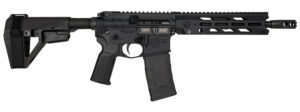 DIA DB1984B001 300BO DB15 10 30R*BRACE* BLK