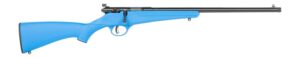 Savage Arms  Rascal F-SR 22 LR 1rd 16.13" Matte Black Single Shot Threaded Barrel, Blue Synthetic Stock, Right Hand
