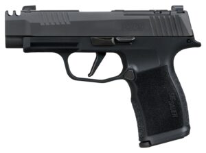 Sig Sauer 365XL380COMP P365XL 380 ACP 12+1 3.10" Black Ported Barrel, Black Nitron Stainless Steel Optic Cut/Ported/Serrated Slide, Black Stainless Steel Frame w/Picatinny Rail, Textured Grip, SIG-LO