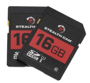 STEAL STC-16GB2PK 16GB SD CARD 2PACK