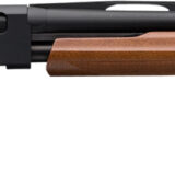 Winchester Repeating Arms 512266692 SXP Field 20 Gauge 5+1 3" 28" Back-Bored Vent Rib Barrel Matte Black Rec Satin Walnut Stock Right Hand (Full Size) Includes 3 Invector-Plush Chokes