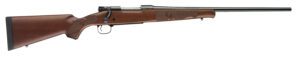 Winchester Guns 535201212 Model 70 Featherweight Compact 243 Win Caliber with 5+1 Capacity, 20" Barrel, Brushed Polish Blued Metal Finish & Satin Walnut Fixed Feather Checkered Stock Right Hand
