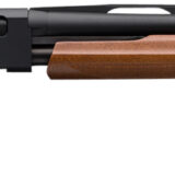 Winchester Repeating Arms 512266691 SXP Field 20 Gauge 26" 5+1 3" Matte Blued Rec/Barrel Satin Walnut Stock Right Hand (Full Size) Includes 3 Invector-Plus Chokes