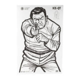 ACTION TGT CSTMS & IMMIG ENFC 100PK