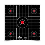 B/C DIRTY BIRD SIGHT IN TGT 12-12"