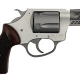 CHARTER ARMS CYTE 380ACP 2" 5RD STS