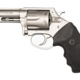 CHARTER ARMS PITBULL 380ACP 3" STS