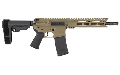 DBF DB15 300BLK 10" 30RD FDE BRACE - Image 2