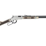 HENRY H4 AMERICAN EAGLE 22LR 20" 16R