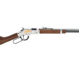 HENRY H4 GOLDEN EAGLE 22LR 20" 16RD