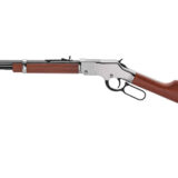 HENRY H4 GLDN BOY SLVR CMPT 22LR