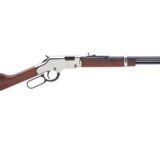 HENRY H4 GOLDEN BOY SILVER 22LR 20"