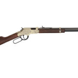 HENRY GLDN BOY DELUXE 17HMR 20" 11RD