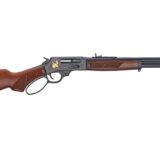 HENRY H10 CLASSIC WILD 45-70 18.43"