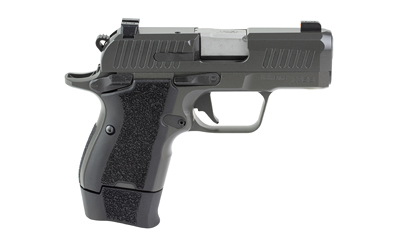 KIMBER CDS9 CLASSIC 9MM 15RD GRY - Image 2