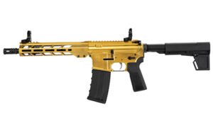 HI-PT HP-15 300BLK 10.5 30RD GLD BRC