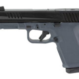 RUGER RXM 9MM 15RD OR NS TB GRAY