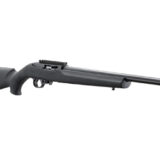 RUGER 10/22 20" TB HOGUE 10RD BLK