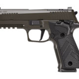 SIG 226 XLGN DA/SA 9MM 4.4" 10RD GRY