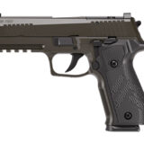 SIG 226 XLGN DA/SA 9MM 4.4" 18RD GRY