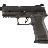 SIG P320 X-CARRY LGN 9MM 4.6 10RD TB