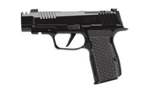 SIG P365 LUXE 380ACP 3.1" 12RD COMP