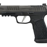 SIG P365 FUSE 9MM 4.3" 21RD LXG BLK