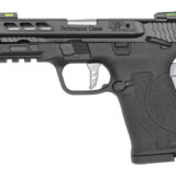 S&W PC SHIELD 380ACP EZ 8RD PRTD SLV