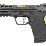 S&W PC SHIELD 380ACP EZ 8RD PRTD GLD