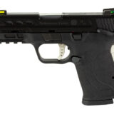 S&W PC SHIELD 9MM EZ 8RD SLVR TS NS