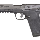 S&W M&P 22WMR 4.35" OR MS 10RD BLK