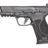 S&W M&P M2.0 10MM 4.6" 10RD OR TS BK