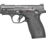 S&W M&P BDYGRD 2.0 380ACP 10RD TS
