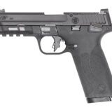 S&W M&P 22X OR 22LR 4.1" 10RD BLK