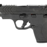 S&W PC M&P SHLD PLS 9MM 4" PRT 10RD
