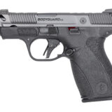 S&W BODYGRD 2 CC 380ACP 3.1 12RD NTS