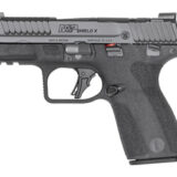 S&W MP SHIELD X 9MM 3.6" TS 10RD CA