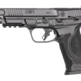 S&W M&P9 M2.0 MTL HD OR 9MM 17RD TS