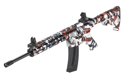 S&W M&P 15-22 SP 22LR 16.5 25RD FLAG - Image 3