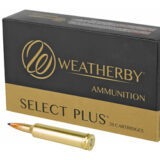 WBY AMMO 257WBY 100GR TTSX 20/200