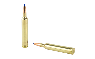 WBY AMMO 6.5-300WBY 127GR LRX 20/200 - Image 4