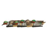 Avian-X Topflight Green Wing Teal Decoys 6/ct