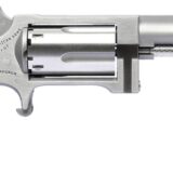 NAA SIDEWINDER 2.5" BRL 22M/22LR MINI REV