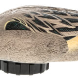 Avian X AVXPSHPNSF Power Shaker Pintail Surface Feeder Duck Decoy Multi-Color